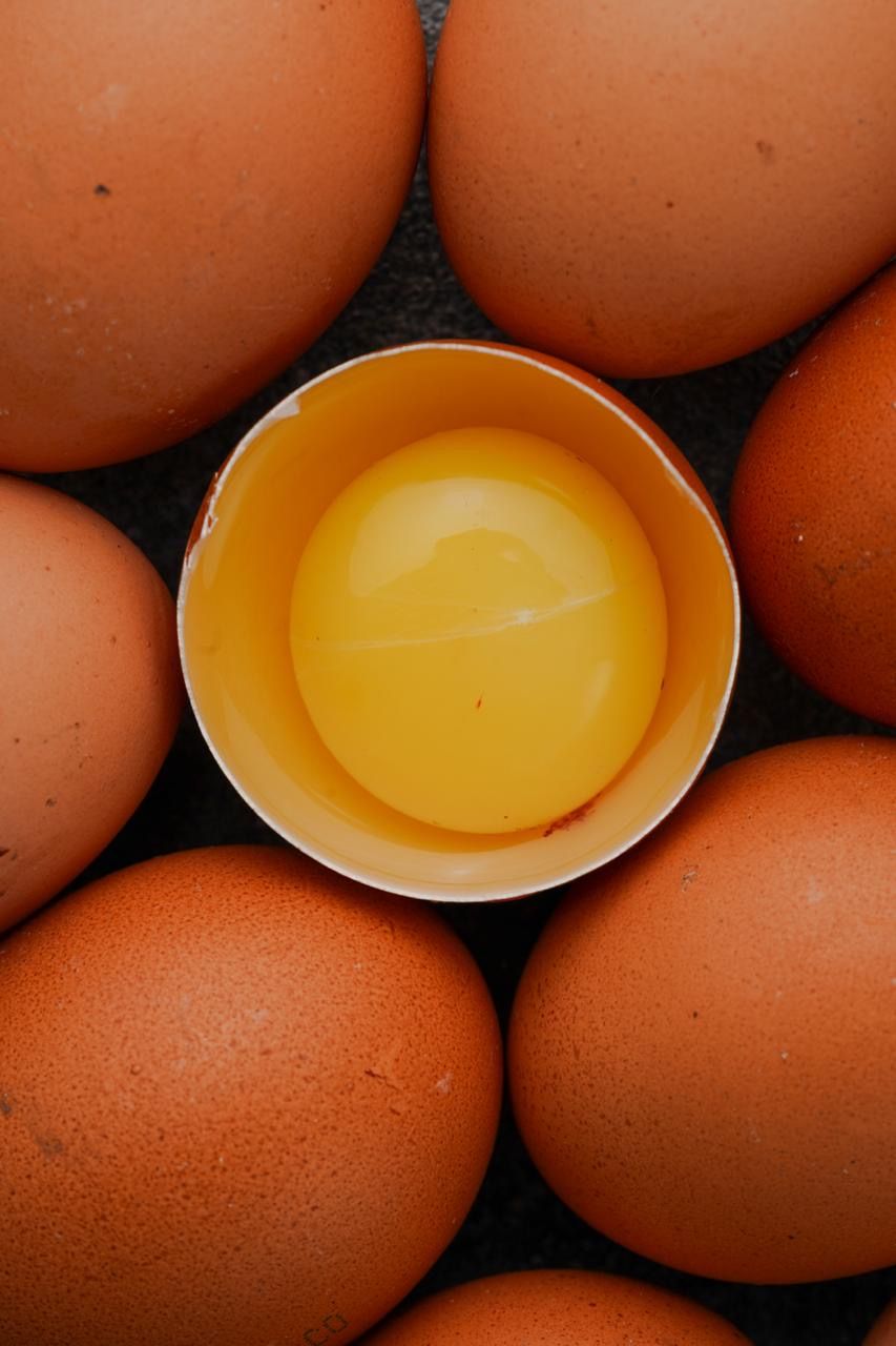 Pasture Raised Eggs